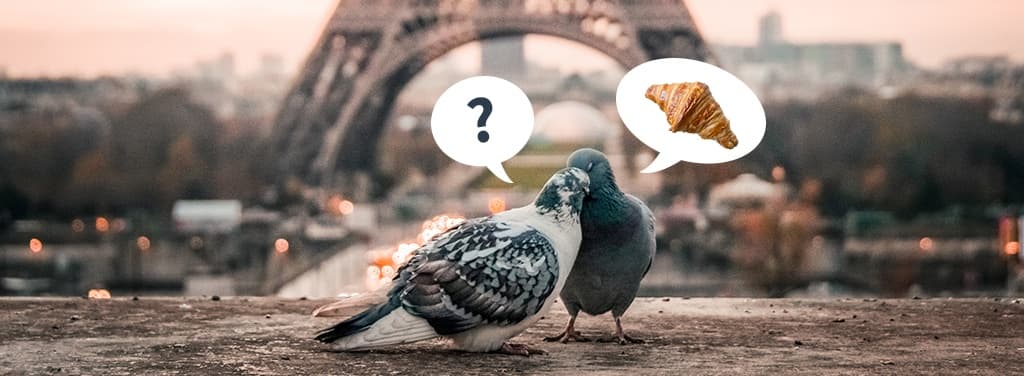 5 råd til at undgå at rive hovederne af hinanden på parrejsen