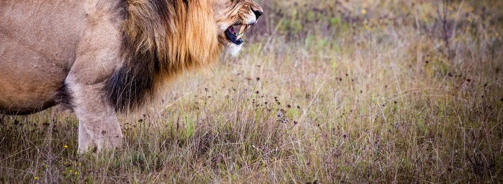 De 10 uskrevne regler på flyrejsen