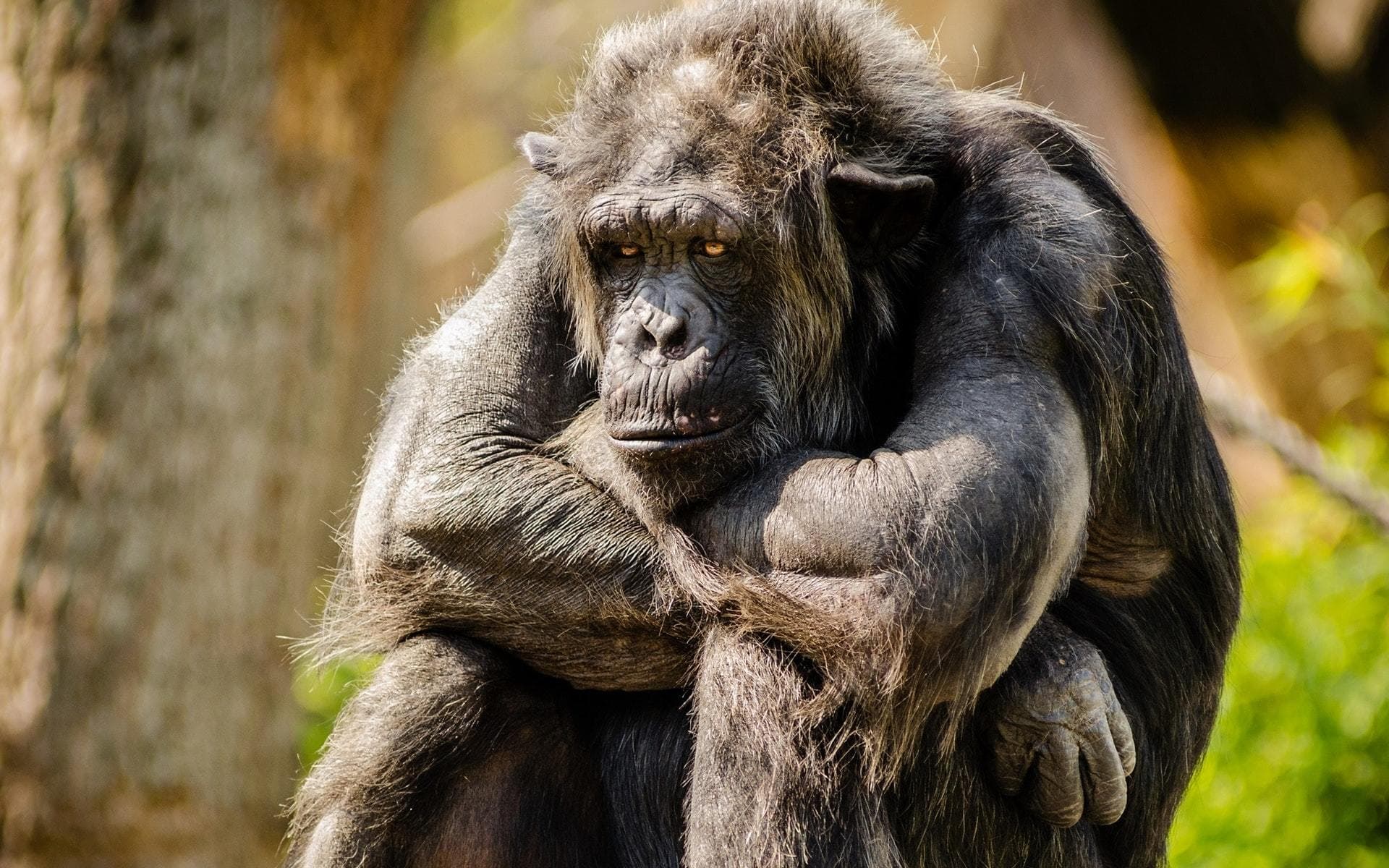 Montrealkonventionen: Dine rettigheder ved bagageproblemer